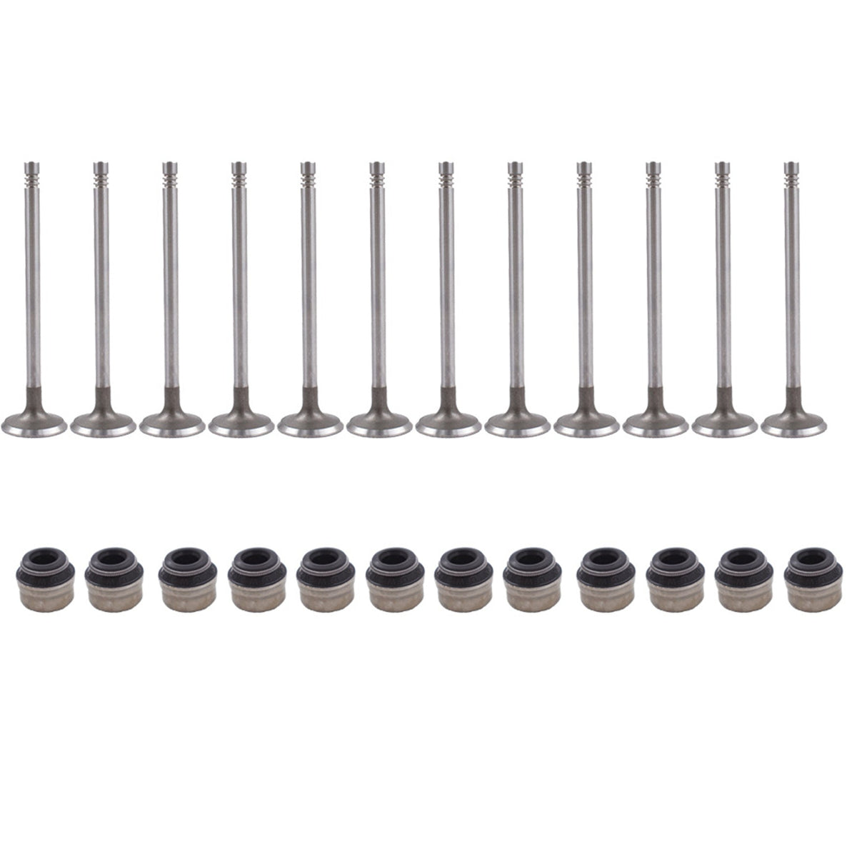 Intake Exhaust Valves & Hydraulic Lifter kit 1.8L 20V For 97-06 AUDI VW 1.8T Lab Work Auto