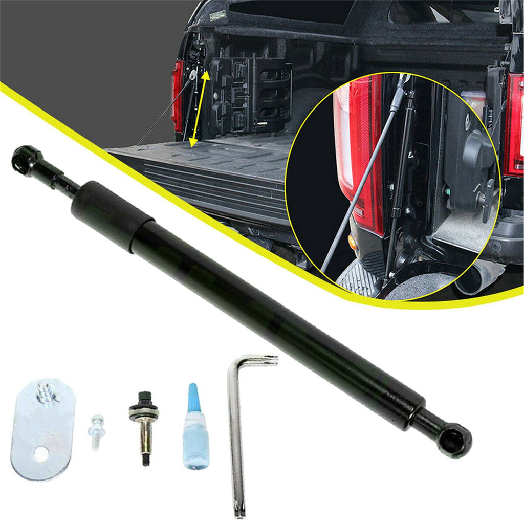 Tailgate Trunk Assist Shocks Struts Kit For 2004 2005-2014 Ford F-150 DZ43200 Lab Work Auto