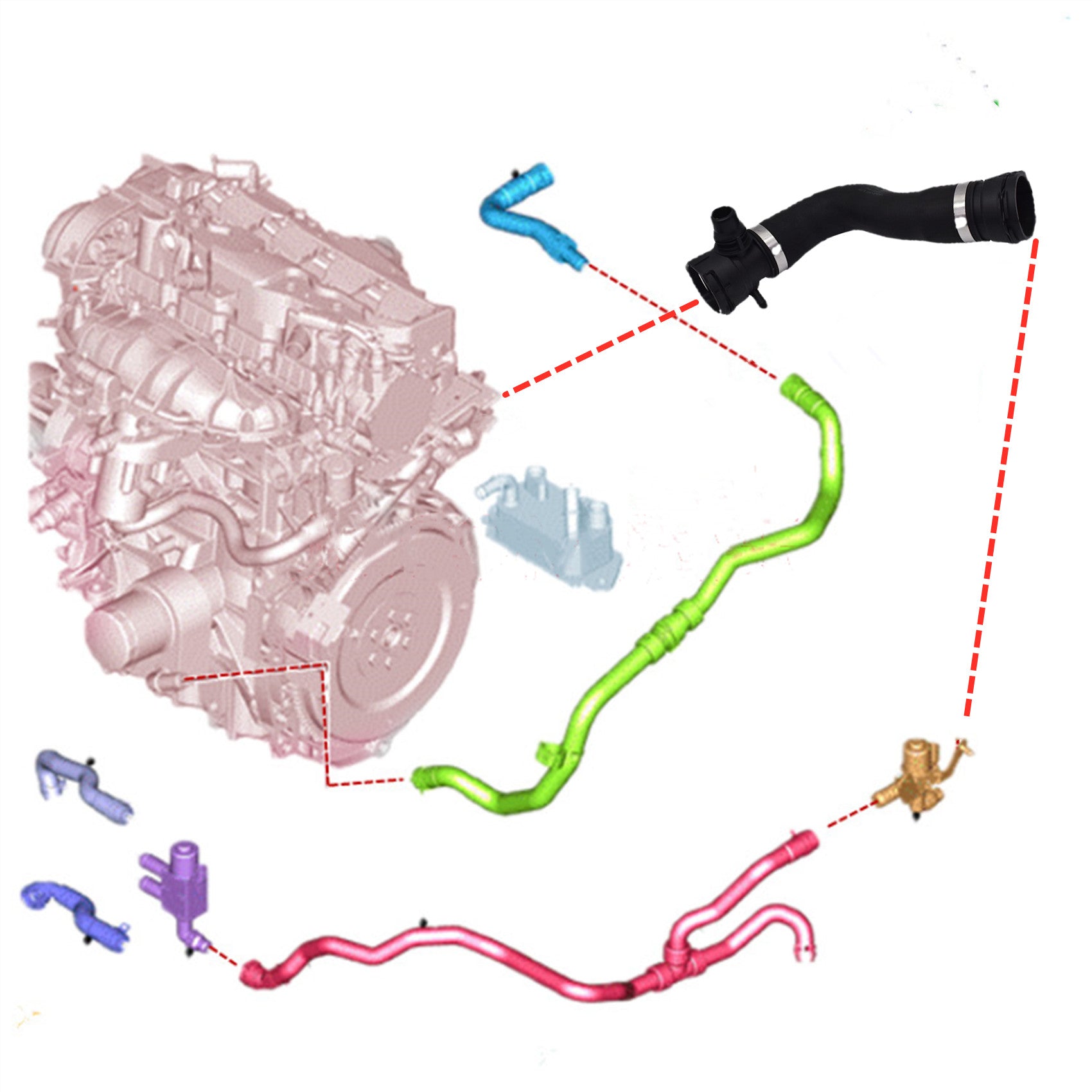 Upper Radiator Coolant Hose FOR BMW 135i 135is 335i xDrive 335xi Z4 X1 3.0L Lab Work Auto